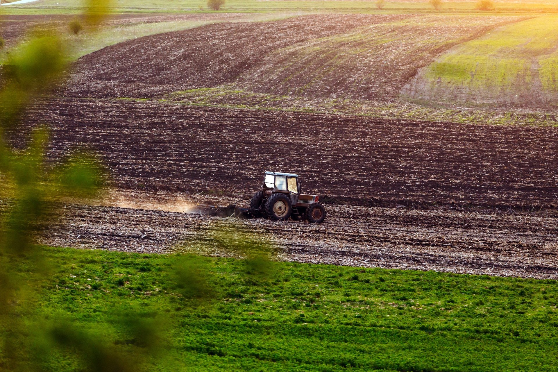 A tractor plowing a brown field next to green grass, under a bright sun. Blurred leaves frame the foreground.
