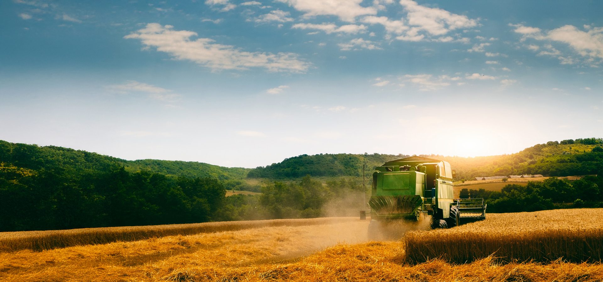 Green combine harvester works in a golden wheat field under a bright, cloudy sky with hills.