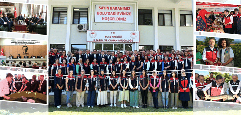 Collage: Bolu Agriculture and Forestry visit with minister, group photo, meetings, and field activities.