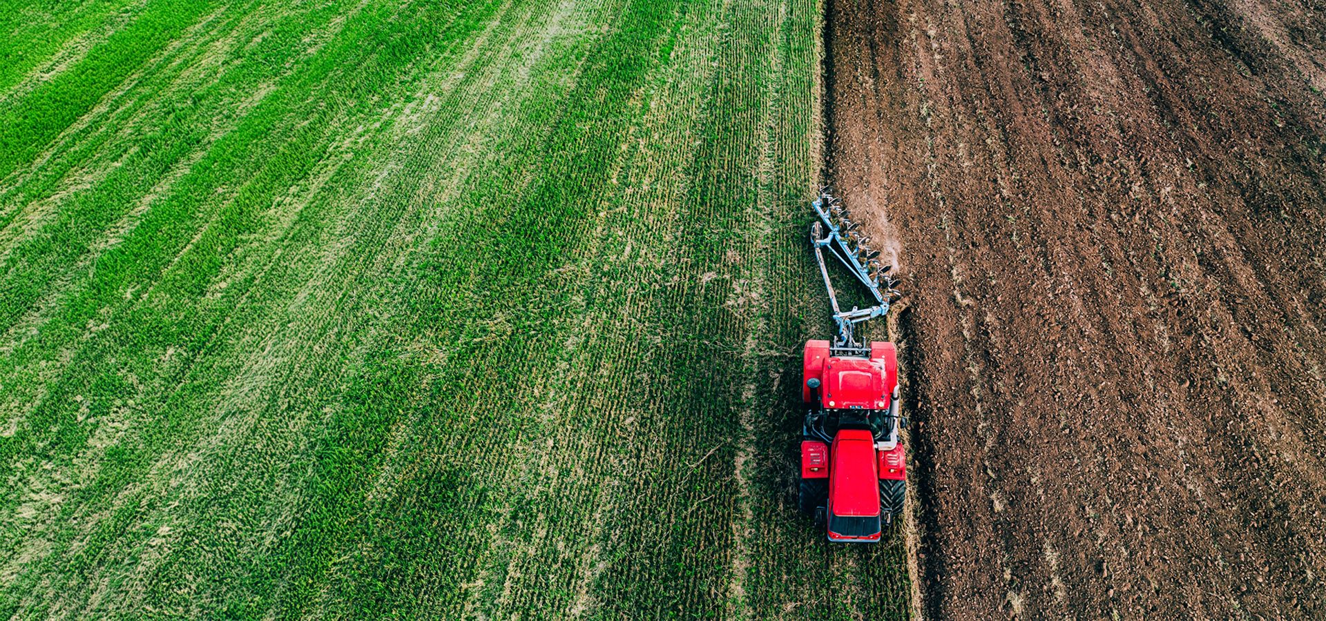 Aerial view of a red tractor plowing a field, creating a clear line between green crops and brown soil.