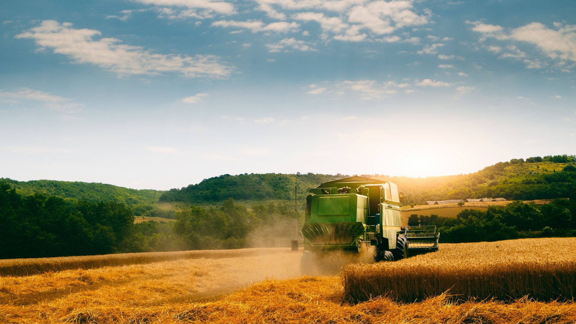 Green combine harvester harvesting a golden wheat field with hills and sunny sky.