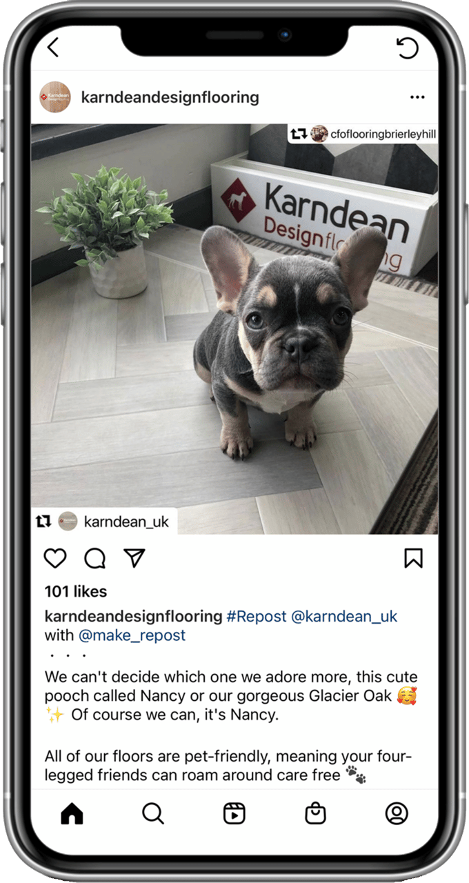 Dog breed, Photograph, Plant, Flowerpot, Carnivore, Font