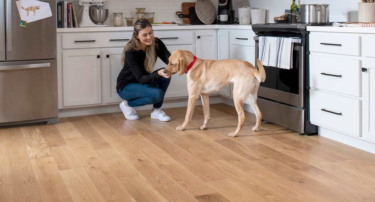 Kitchen appliance, Cabinetry, Dog, White, Wood, Carnivore, Flooring, Drawer, Floor, Fawn