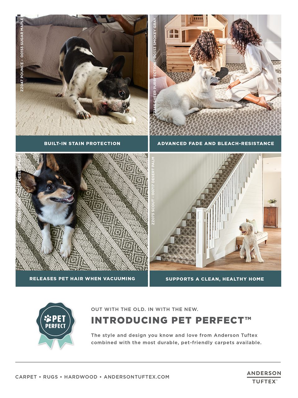 Photograph, White, Product, Felidae, Carnivore, Dog, Font, Cat