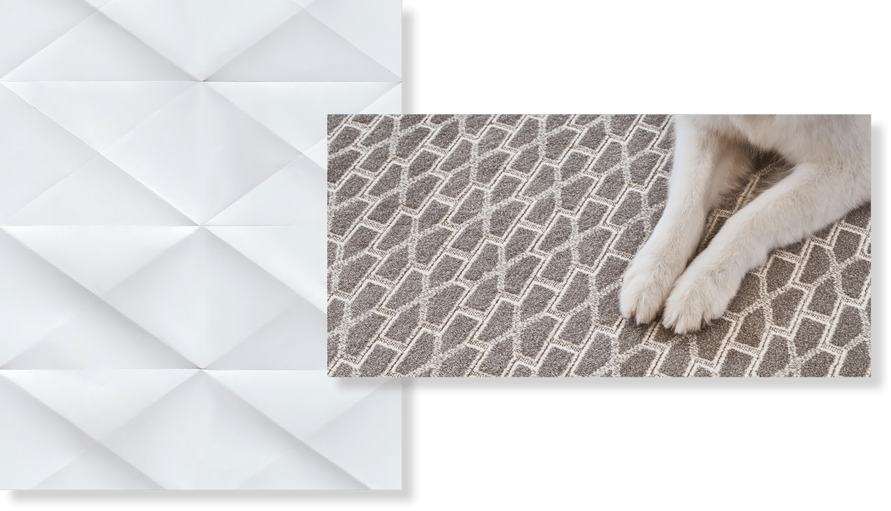 Material property, Rectangle, Grey, Dog, Carnivore