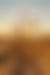 Golden hour desert scene with a Joshua tree, the sunbursting through its branches, and sandy terrain.