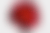 Red flower with "the POWER of RED" text and geometric shapes on light background.