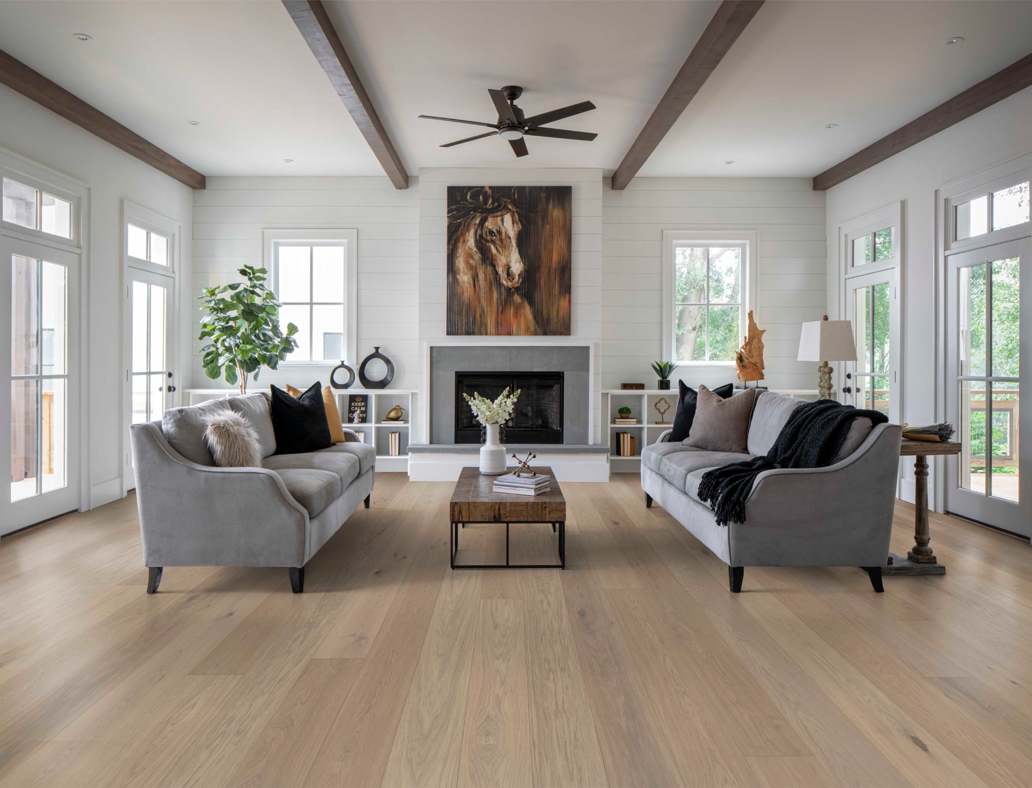 Picture frame, Living room, Plant, Couch, Furniture, Window, Wood, Houseplant, Building, Comfort