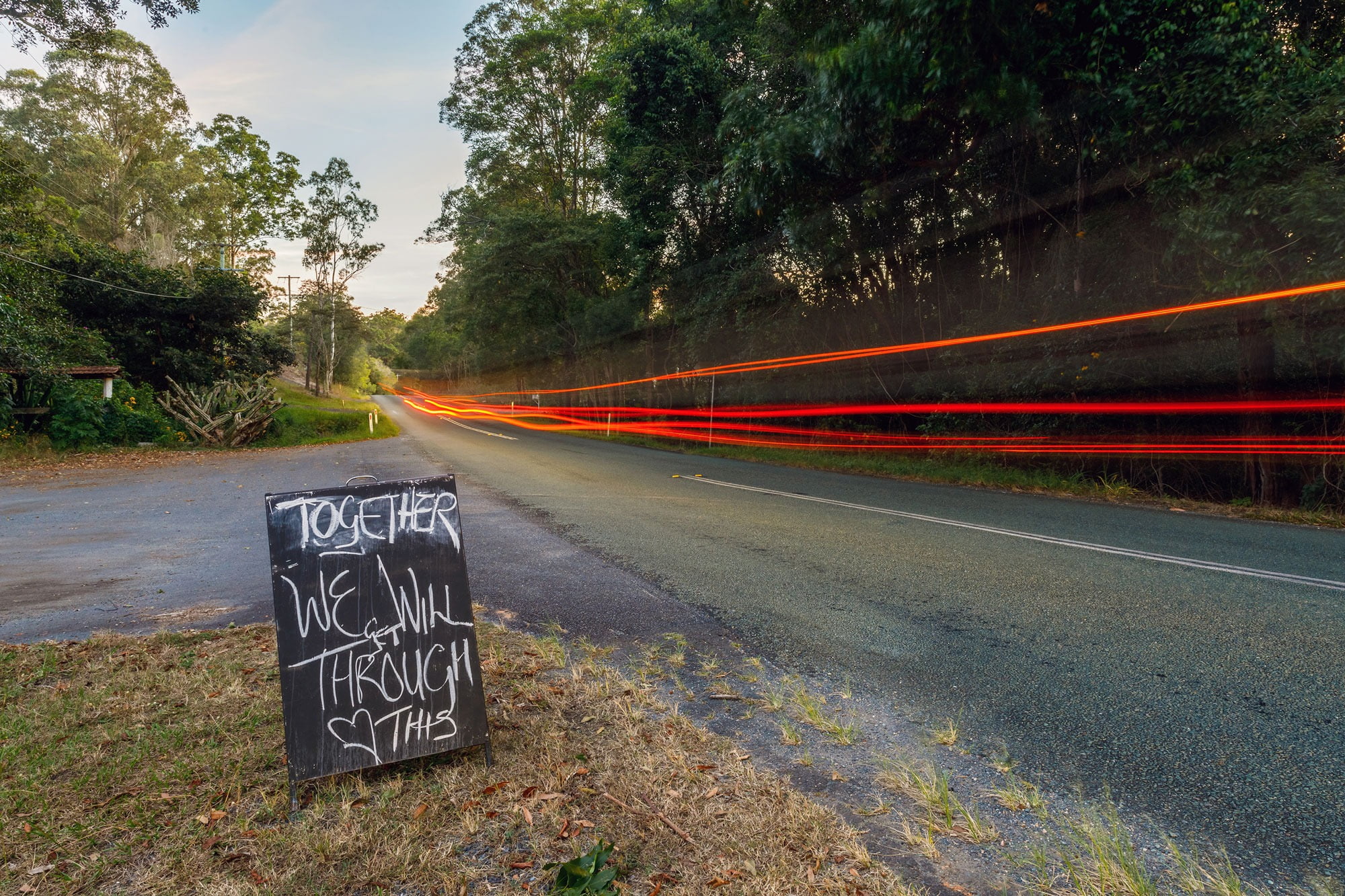 Guard rail, Morning, Thoroughfare, Leaf, Infrastructure, Road