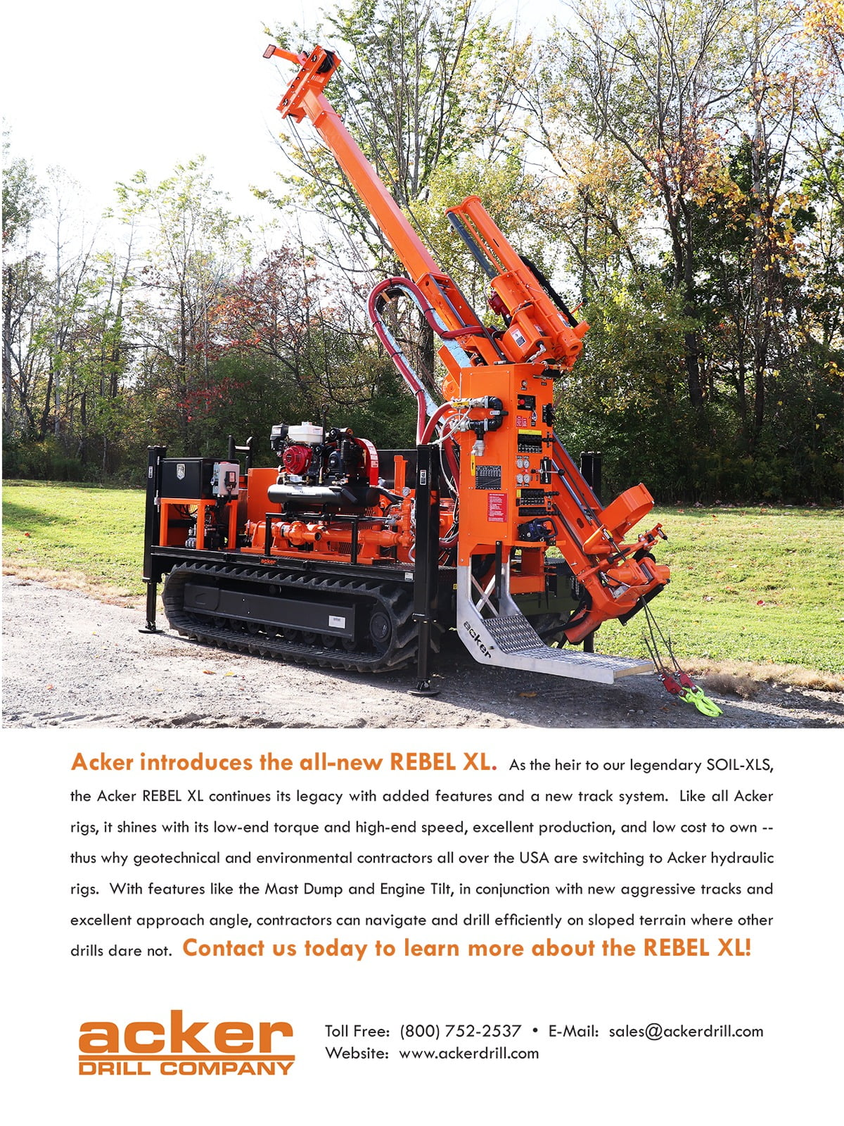 Motor vehicle, Road surface, Plant, Tree, Asphalt, Wheel, Grass