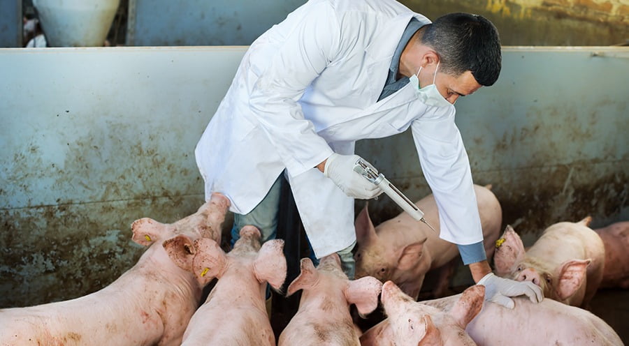 antibiotics-in-food-animals 