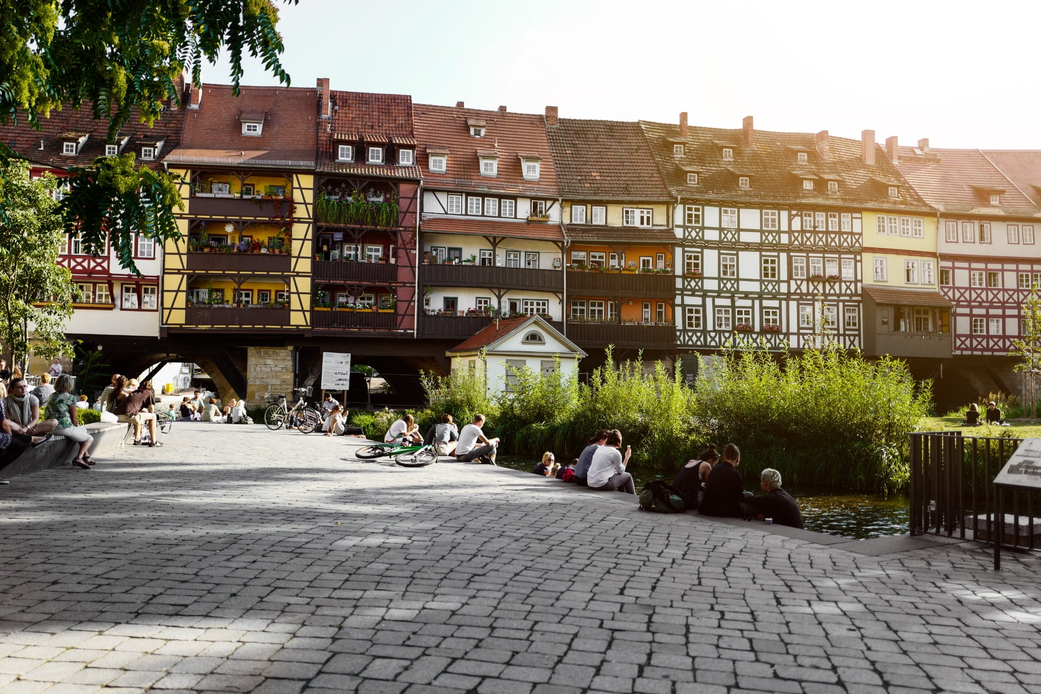 Urban design, Road surface, Plant, Building, Sky, Window, Tree, Neighbourhood, Flowerpot