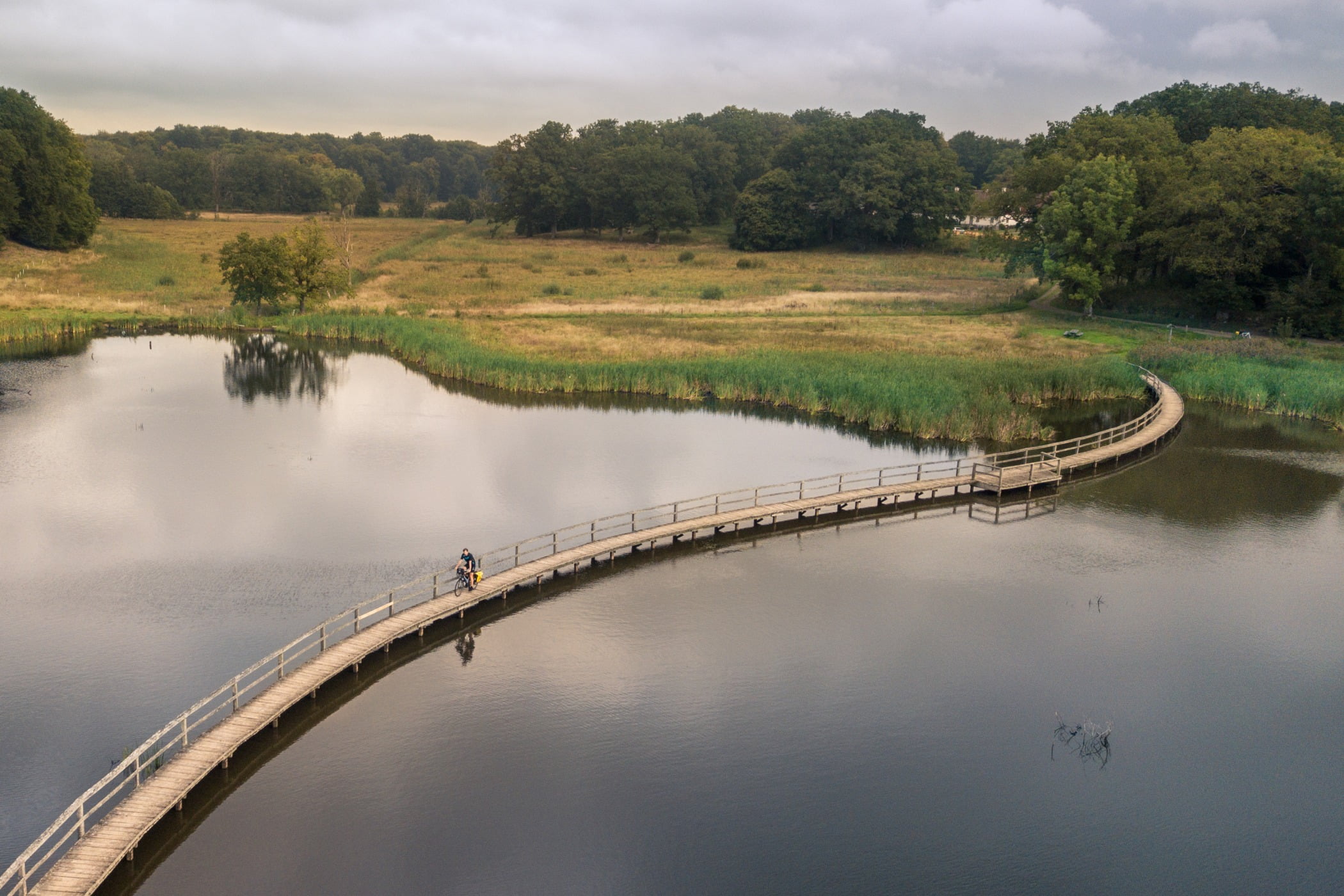 Fluvial landforms of streams, Water resources, Natural landscape, Sky, Plant, Cloud, Ecoregion, Tree