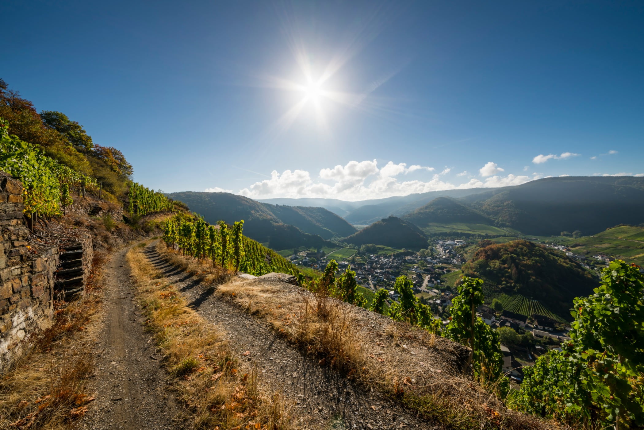 Mountain range, Natural landscape, Plant community, Mountainous landforms, Sunlight, Hill, Slope, Highland, Sun