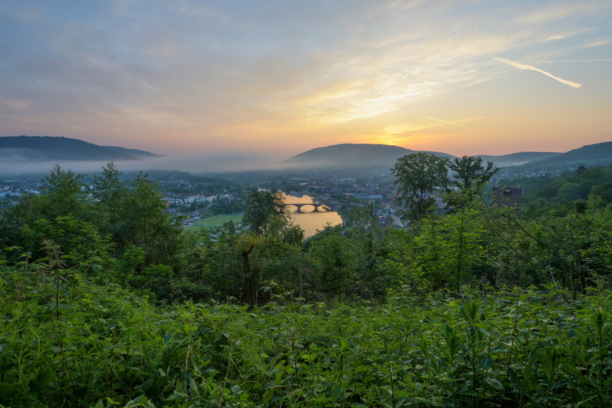 Plant community, Natural landscape, Cloud, Sky, Mountain, Afterglow, Tree, Highland, Sunlight