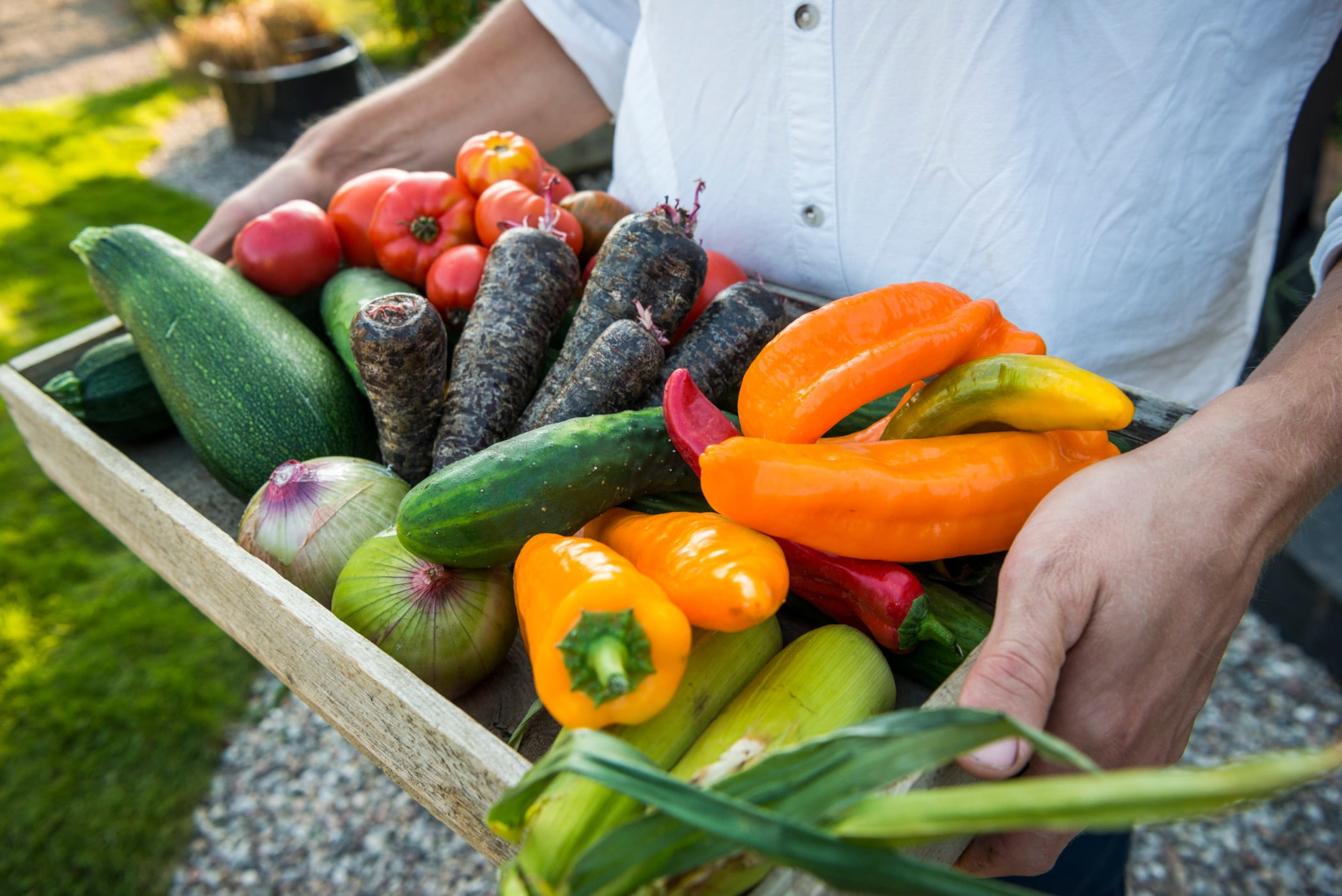 Natural foods, Food group, Bell pepper, Leaf vegetable, Ingredient, Plant, Superfood