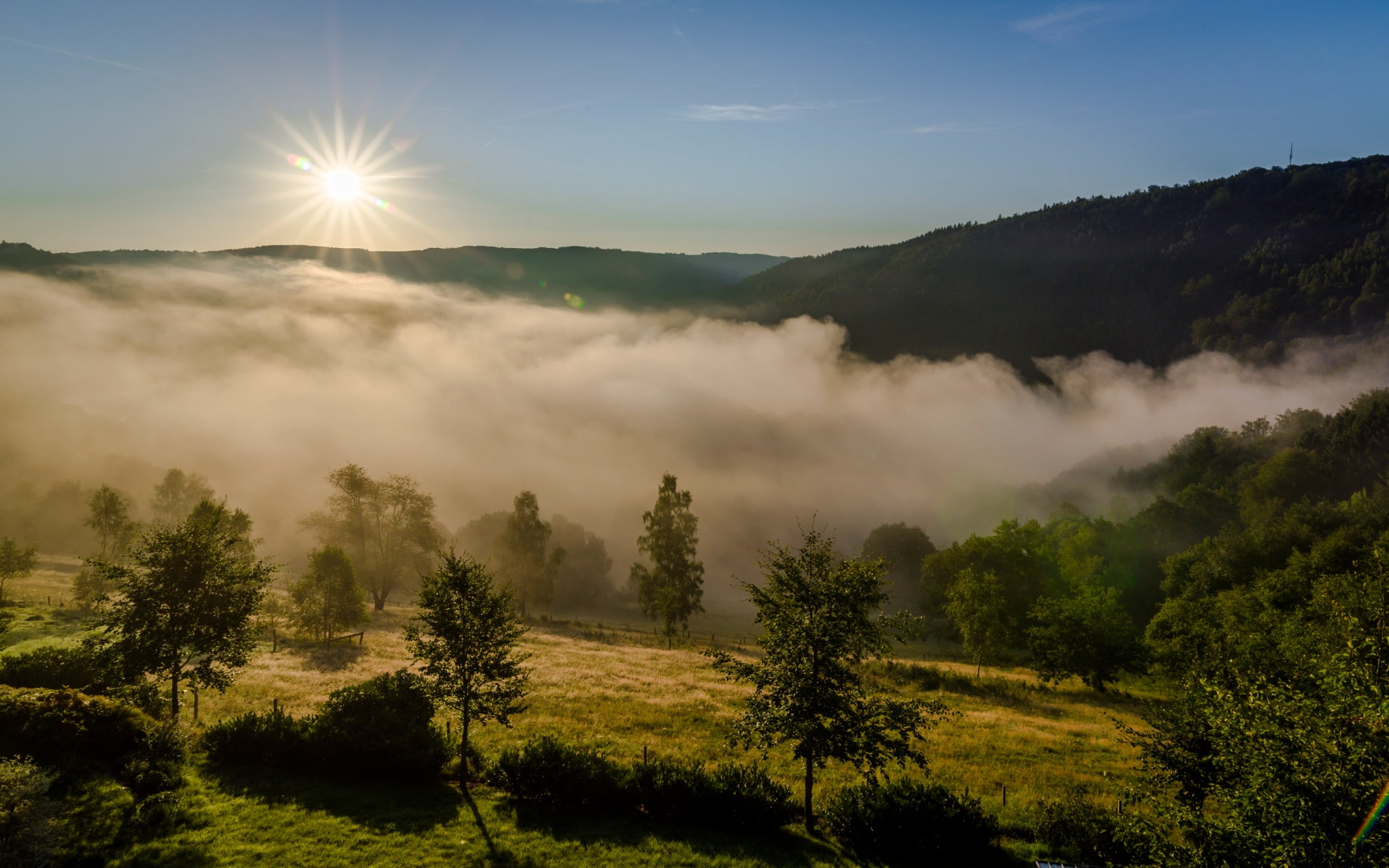 Hill station, Atmospheric phenomenon, Natural landscape, Wilderness, Forest, Mist, Highland, Atmosphere, Vegetation, Nature