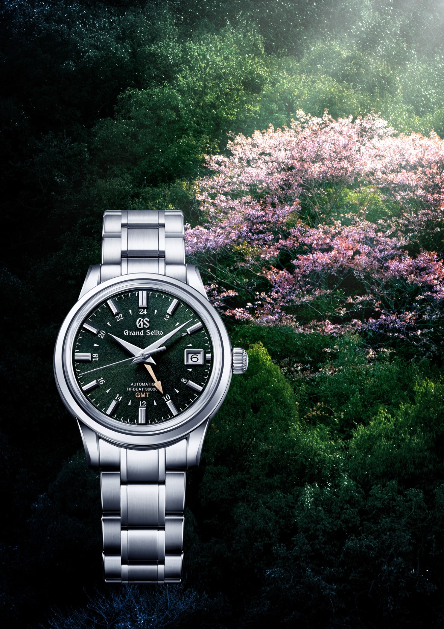 Analog watch, Plant, Flower, Clock