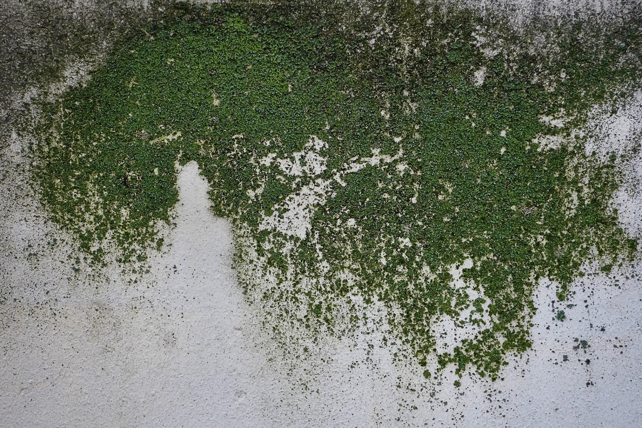 Road surface, Water, Grass, Asphalt