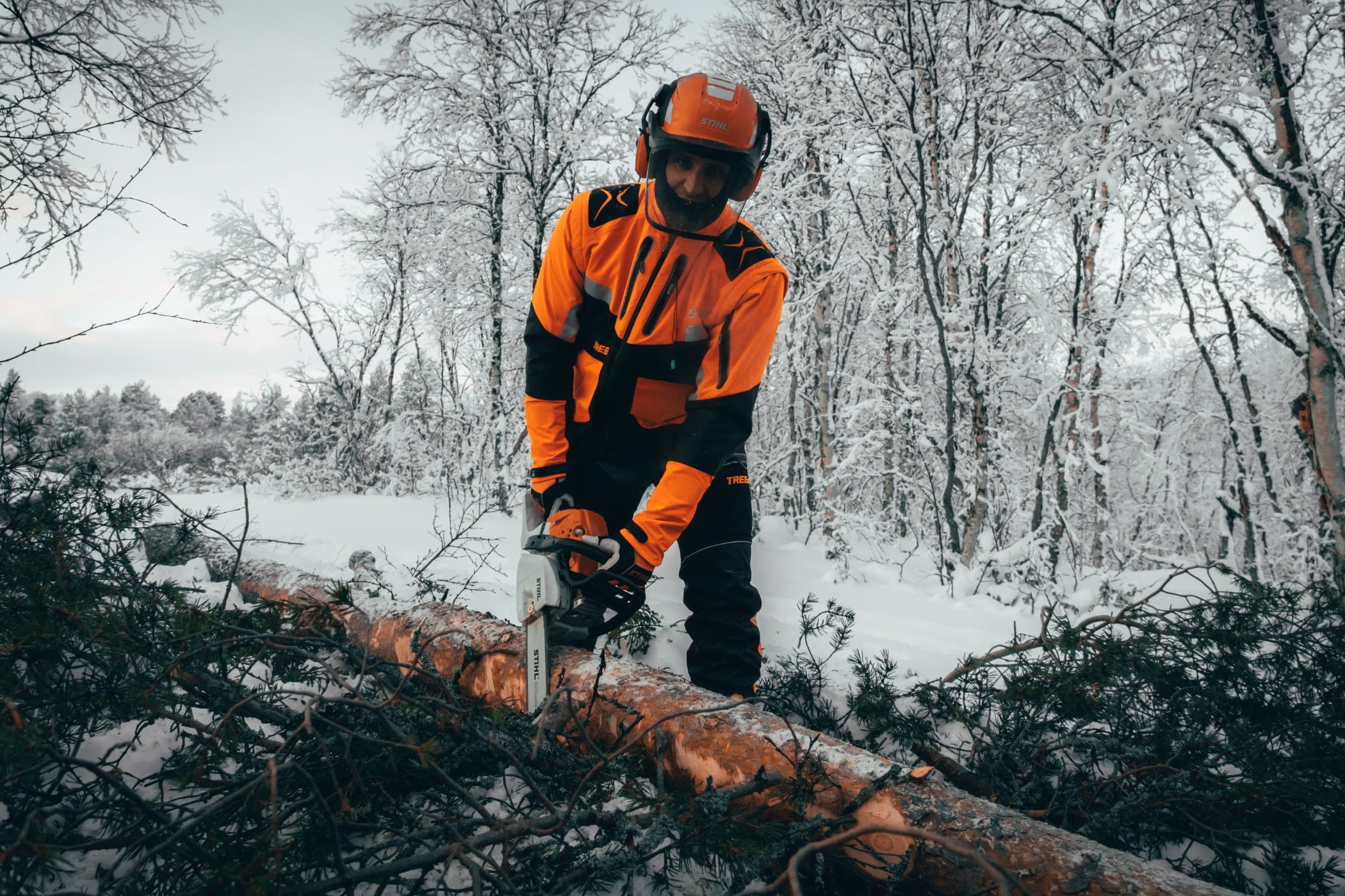 People in nature, High-visibility clothing, Natural environment, Hard hat, Helmet, Workwear, Plant, Tree, Wood