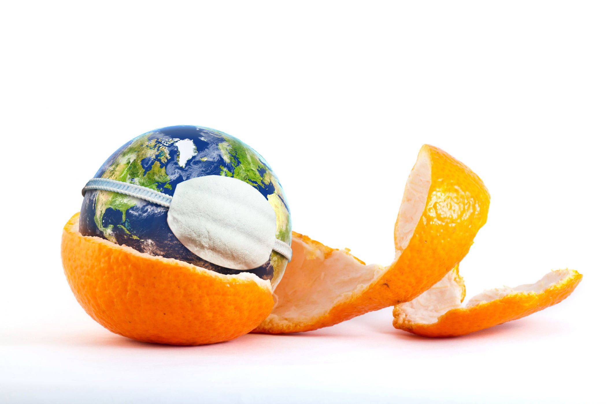 Still life photography, Fruit, Orange, Tangerine, World, Citrus, Amber