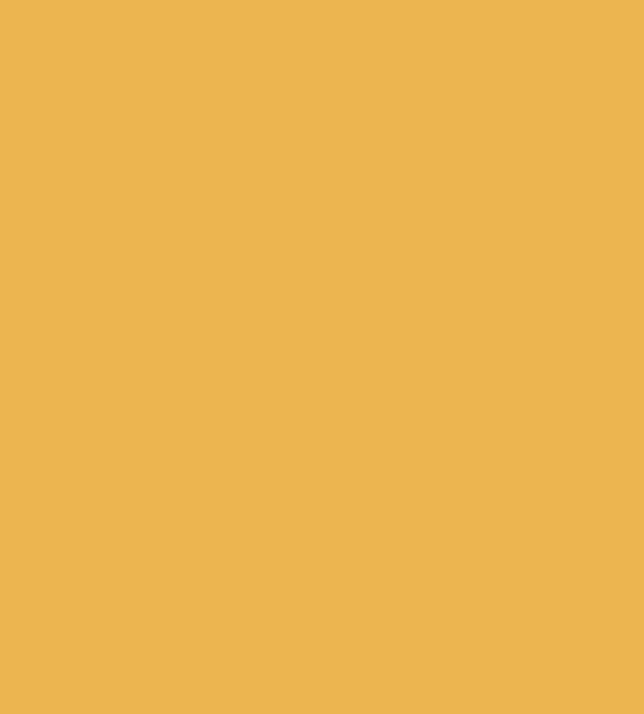 Rectangle, Shape, Brown, Yellow, Amber