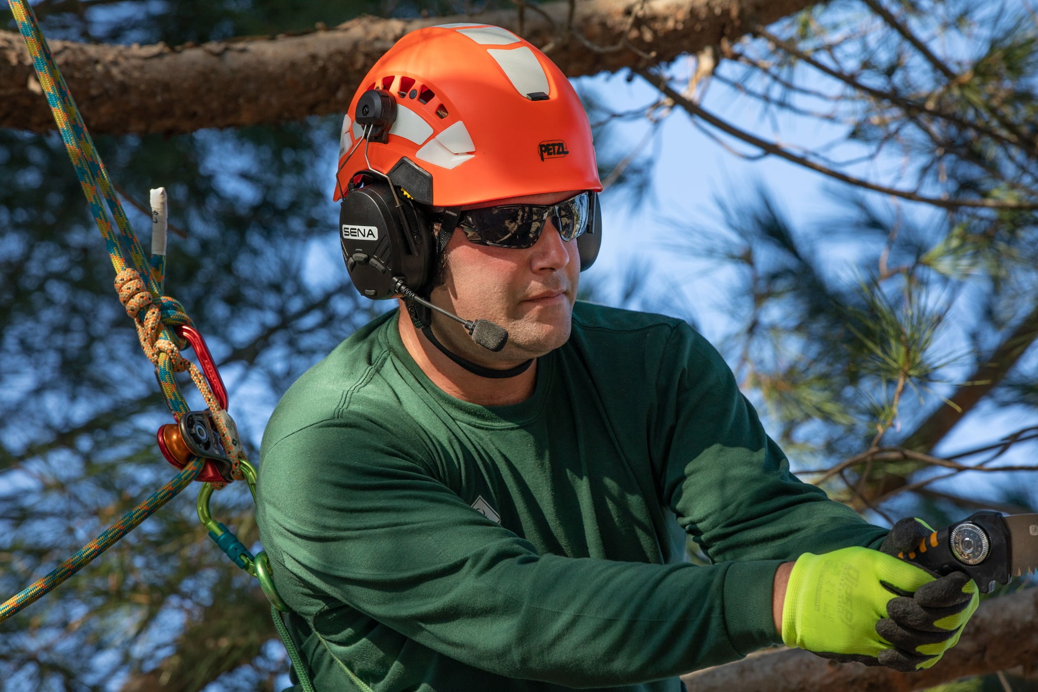 Hard hat, Glasses, Helmet, Glove, Sunglasses, Plant, Goggles, Workwear