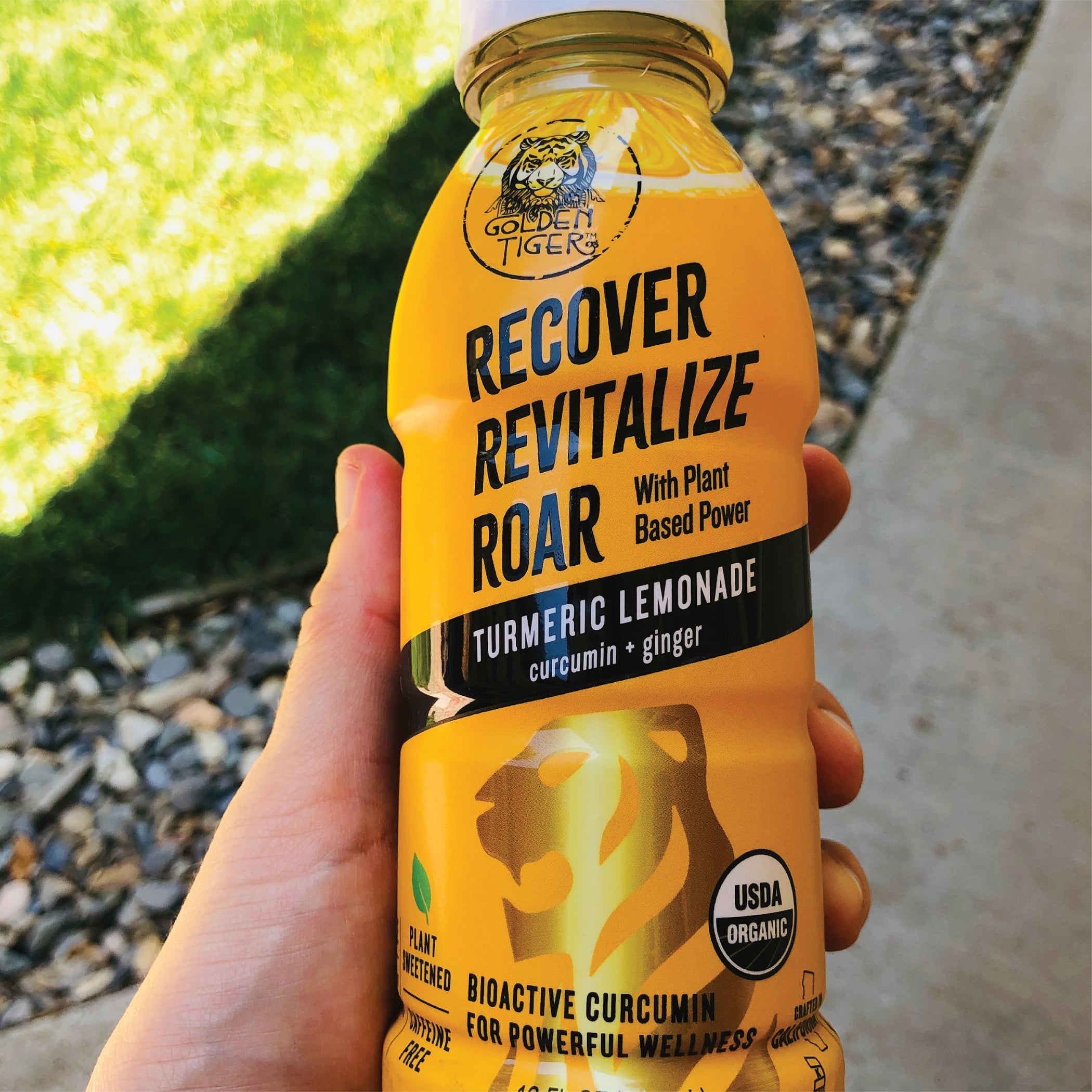 Recover Revitalize Roar