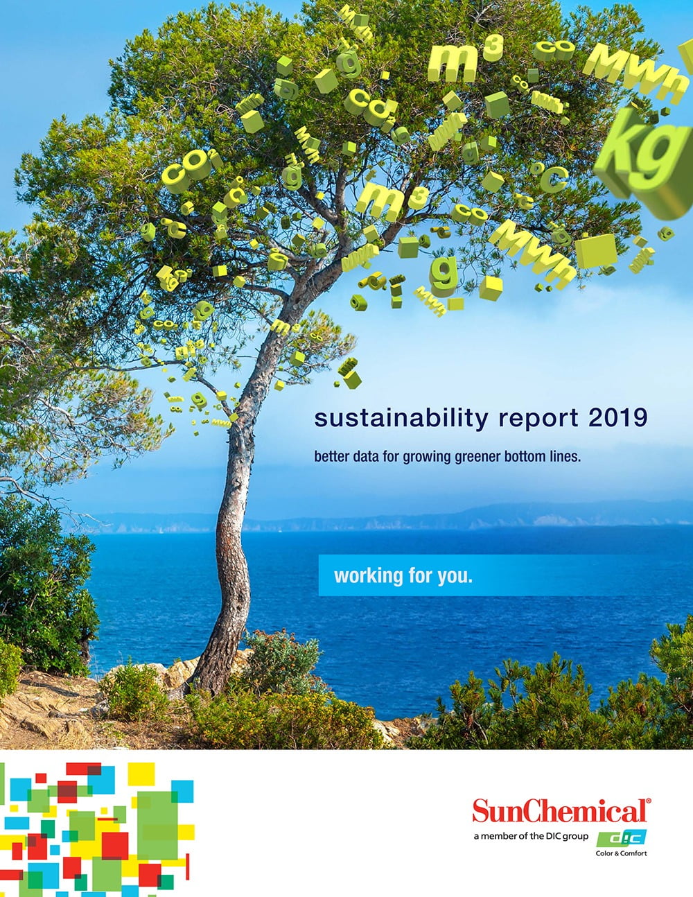 2019 Sustainability Report Cover
