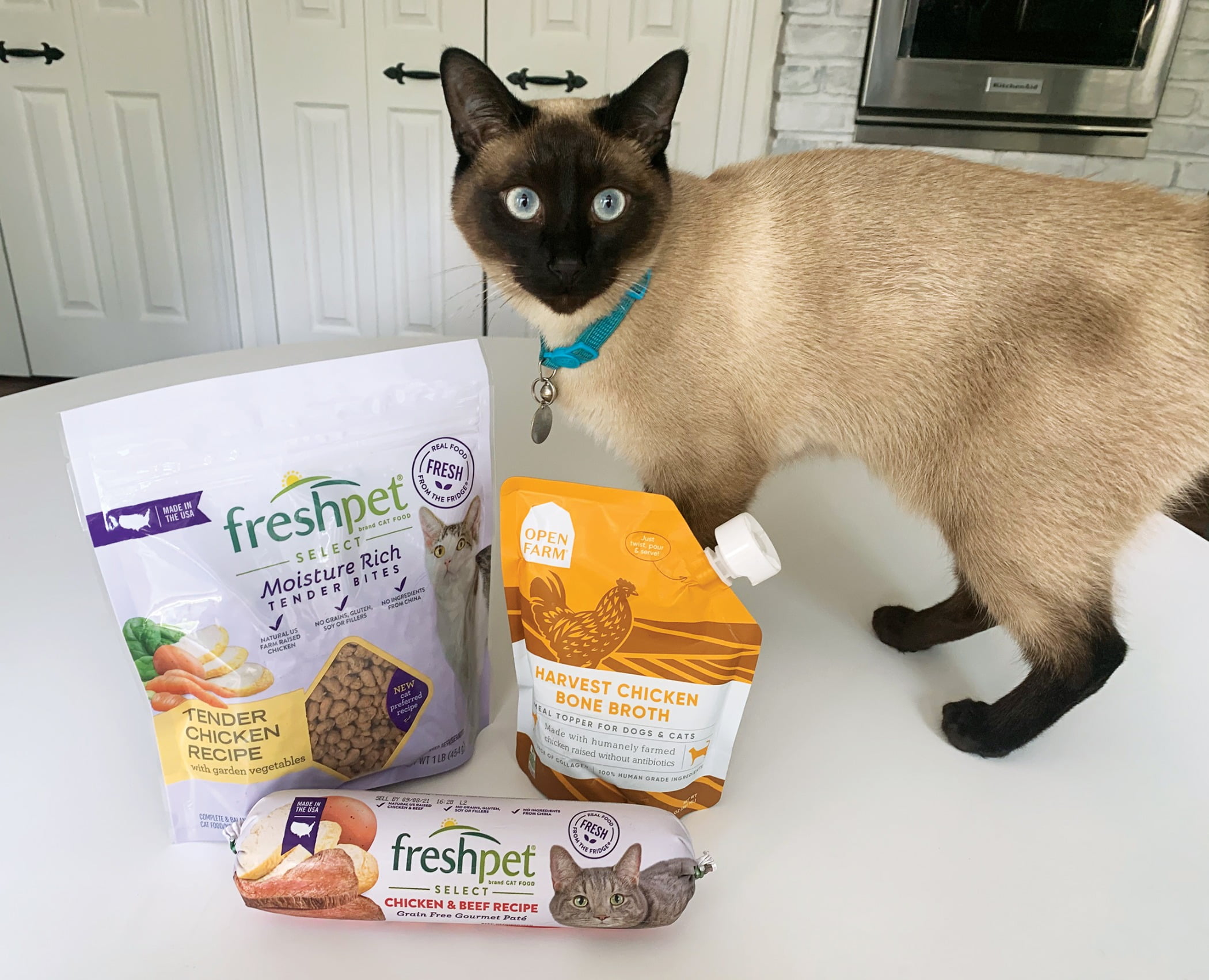 Fresh Pet cat food