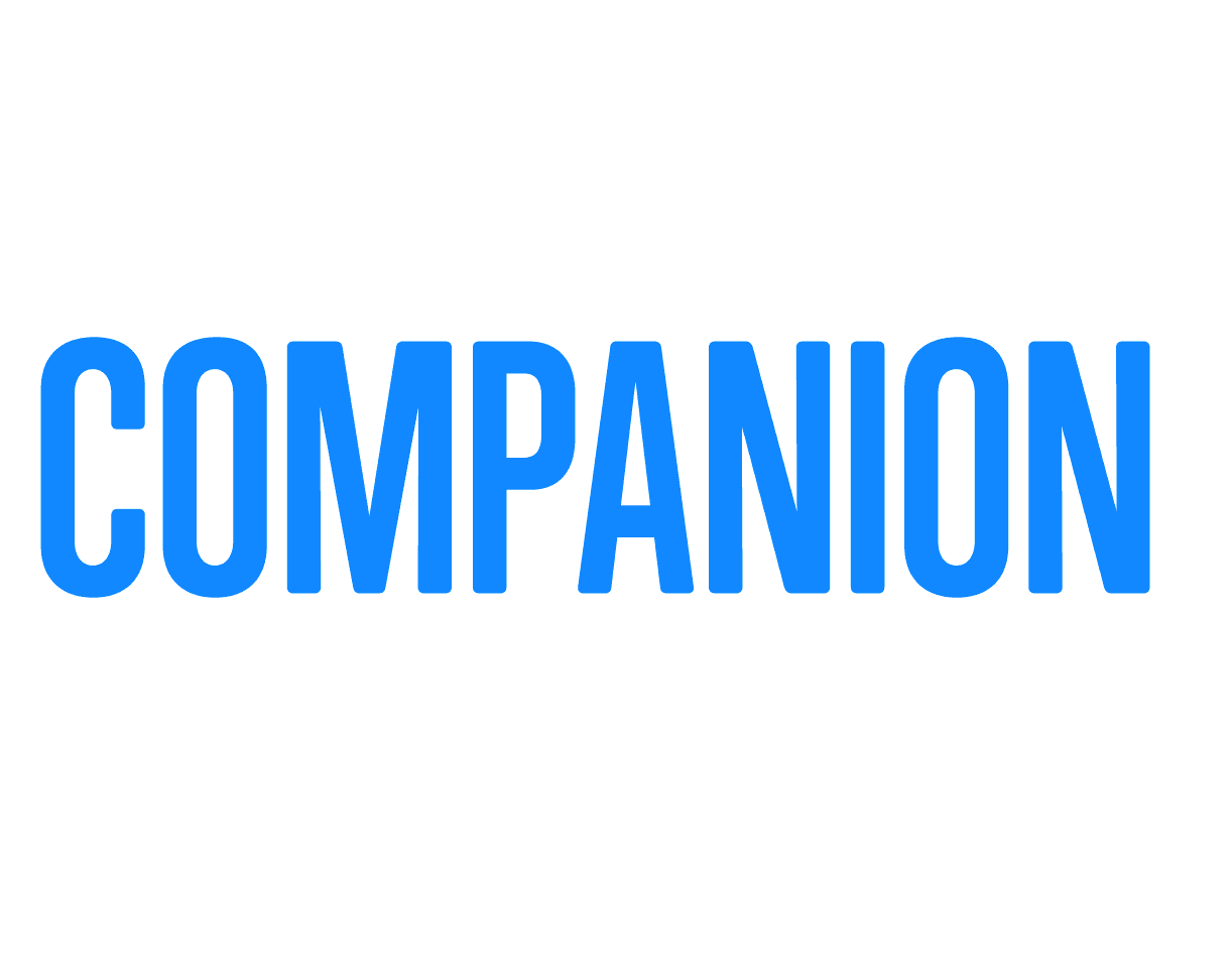 2021 Convention Companion Guide