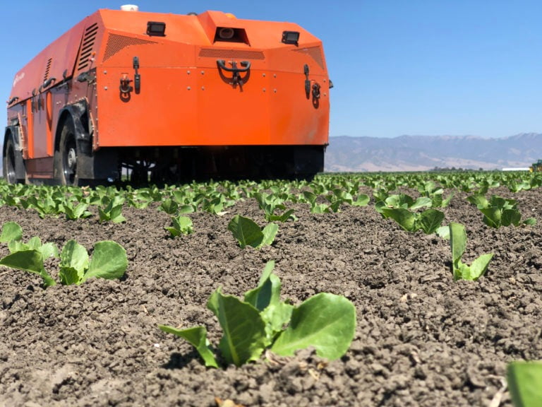 This robotic weeder adapts to different crops, soil and growth stages. 