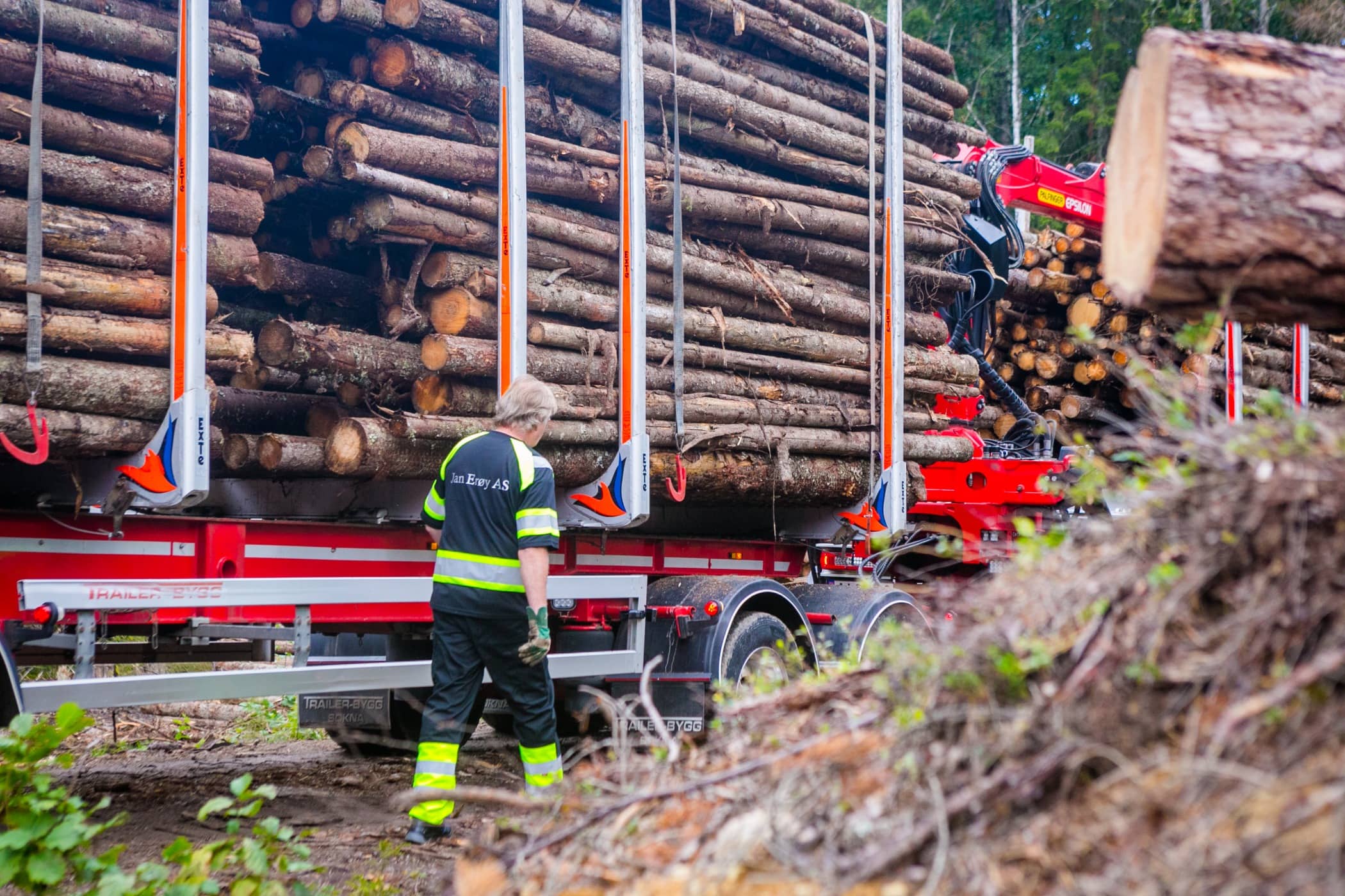 Vehicle, Tree, Wood, Lumber, Transport, Logging