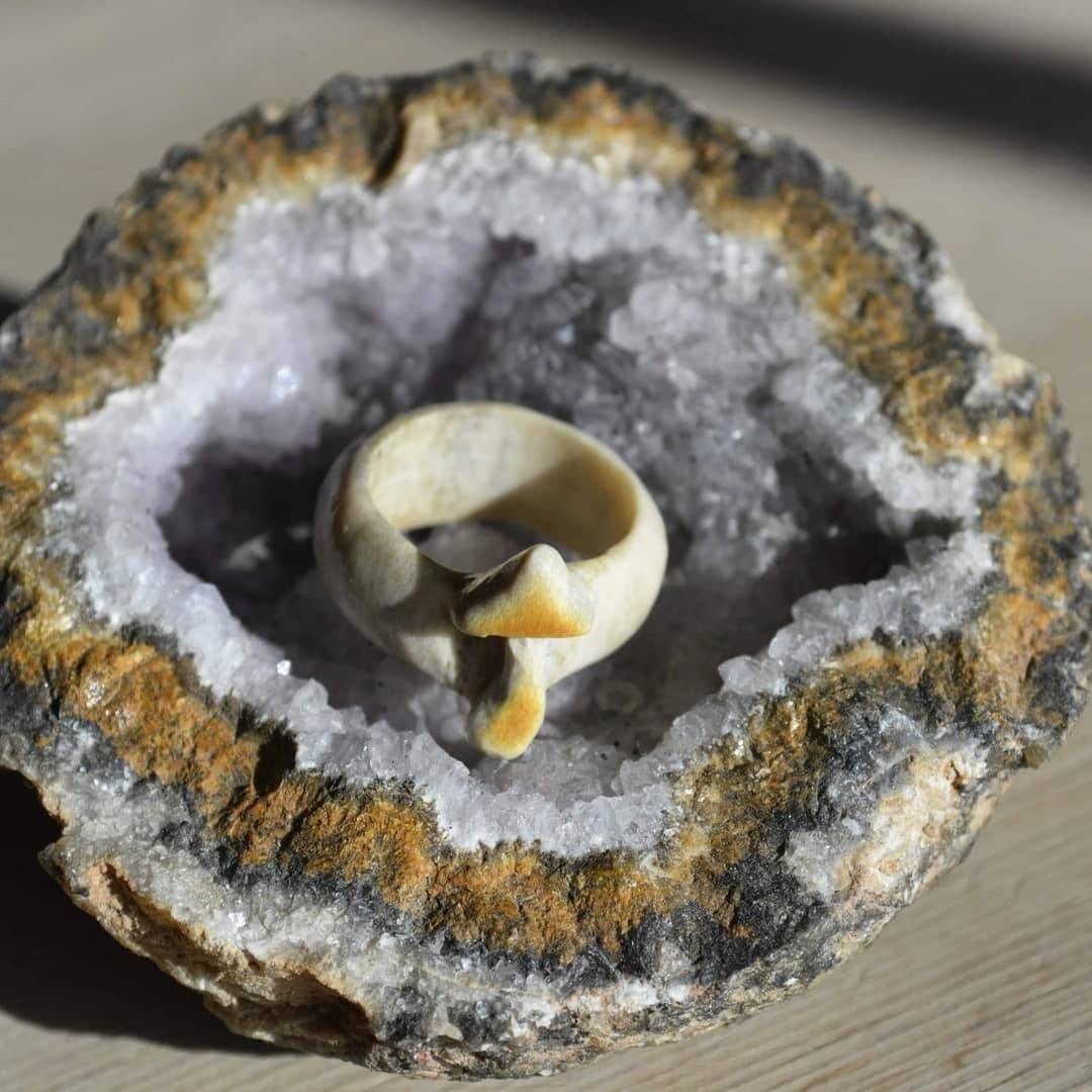 Food, Ingredient, Cuisine, Dish