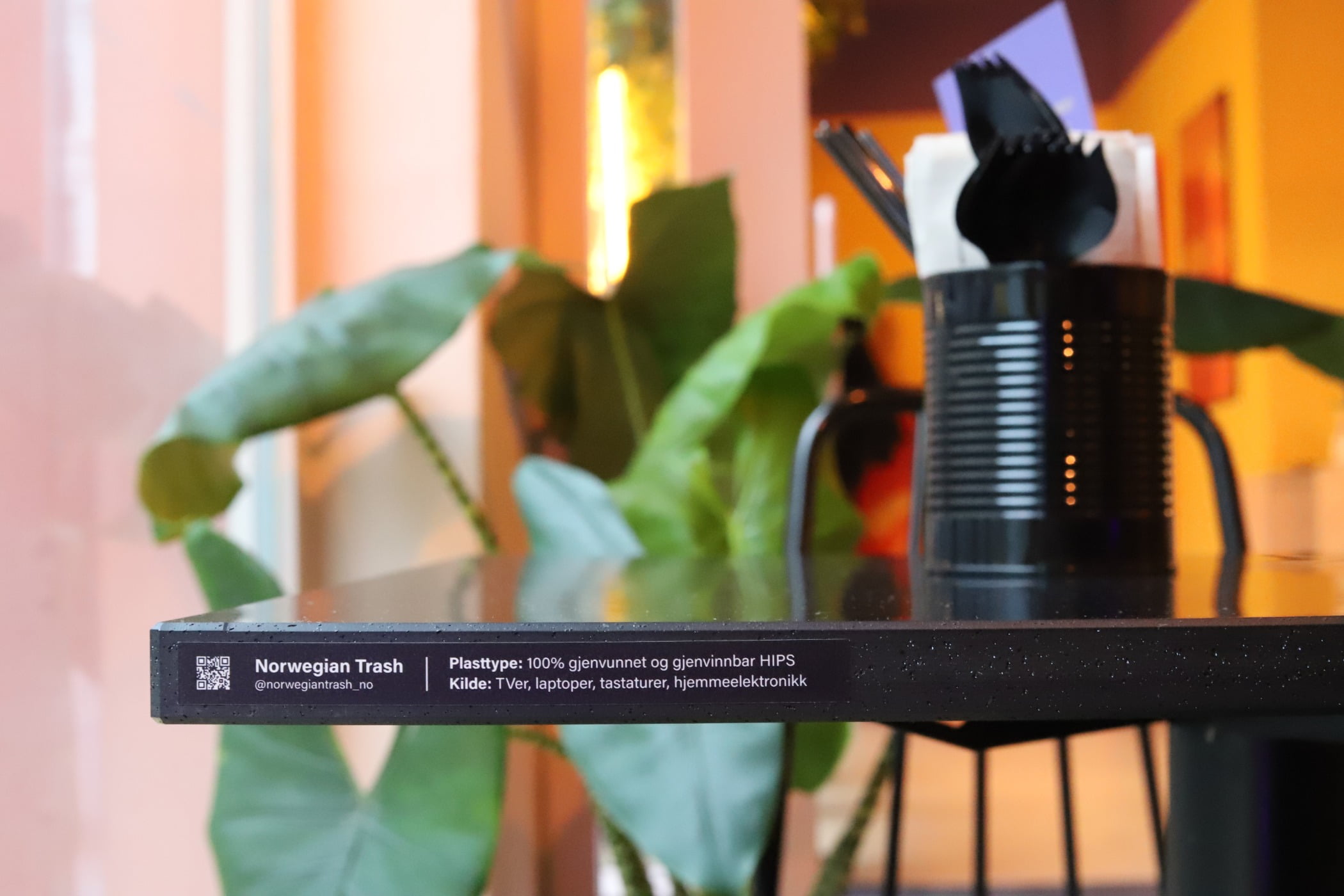 Terrestrial plant, Houseplant, Flowerpot