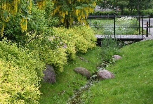Plant community, Garden, Groundcover, Bridge, Shrub, Vegetation