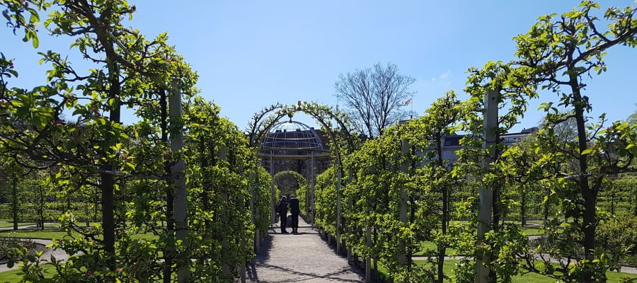Hedge, Botany, Arch, Garden, Shrub