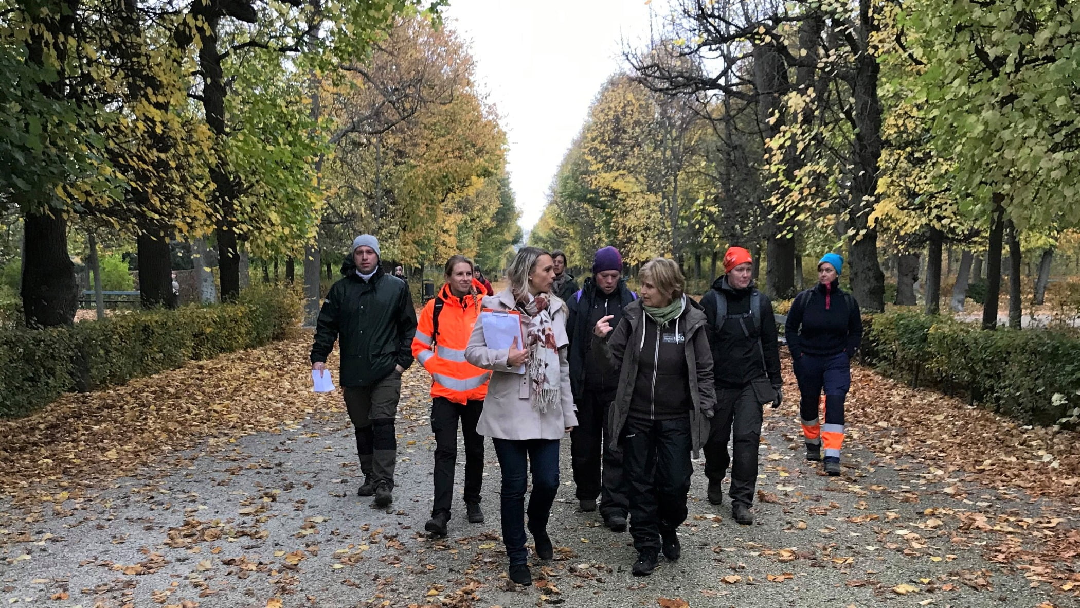 People in nature, Woody plant, Social group, Autumn, Mammal, Leaf, Deciduous, Jacket, Footwear