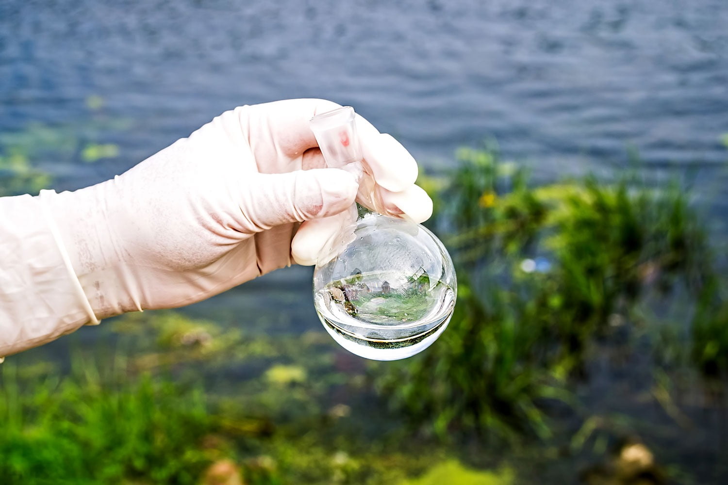 Natural environment, Water, Hand, Plant, Liquid, Fluid, Gesture, Finger, Grass, Thumb