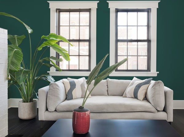 Picture frame, Interior design, Plant, Couch, Property, Window, Houseplant, Flowerpot, Building, Lighting