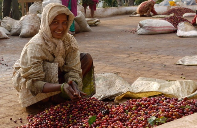 Berry, Temple, Adaptation, Produce, Ingredient